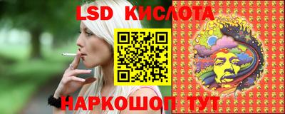 PSILOCYBIN Гатчина