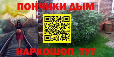 PSILOCYBIN Гатчина