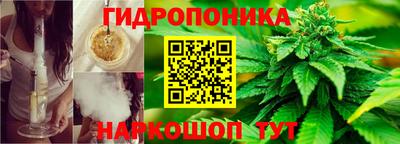 альфа пвп Гай