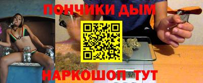 PSILOCYBIN Гатчина