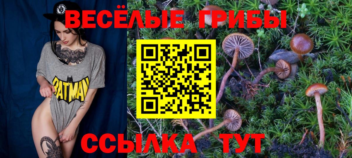 Новокубанск  Галлюциногенные грибы мухоморы  Вход с VPN  продажа наркотиков  Псилоцибиновые грибы мухоморы 